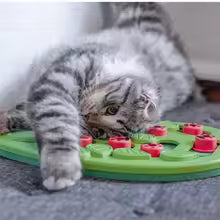 Interactive Cat Treat Puzzle