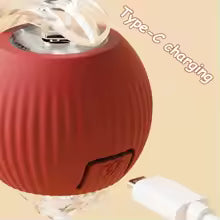 Interactive Ball Toy