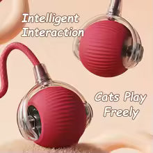 Interactive Ball Toy
