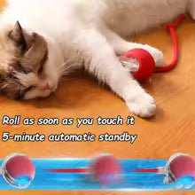 Interactive Ball Toy