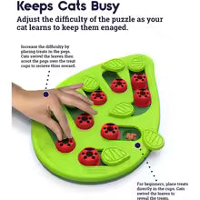 Interactive Cat Treat Puzzle
