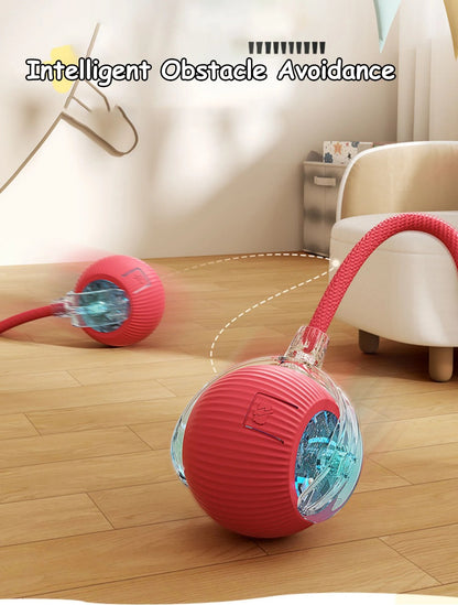 Interactive Ball Toy