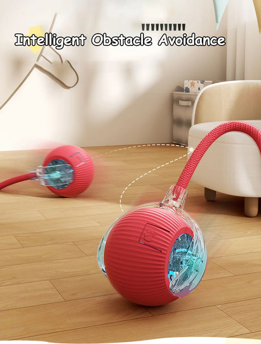Interactive Ball Toy