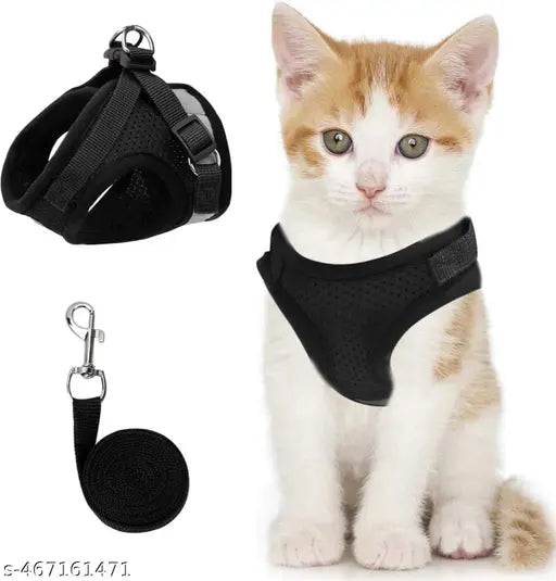 Kitty Belt